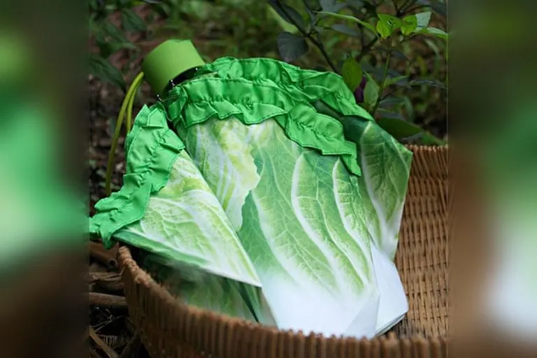 Cabbage Umbrella