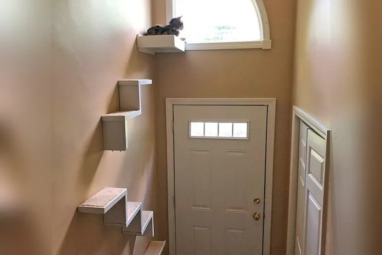 Floating Cat Wall Stairs and Perch