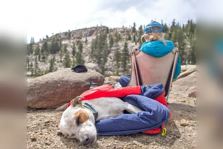 Noblecamper 2-in-1 Dog Sleeping Bag and Bed